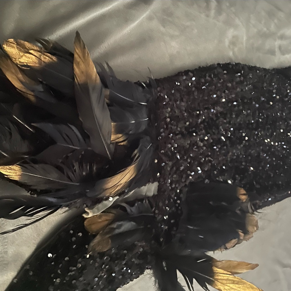 Beautiful after 5 dress with black sequence trim black and gold feathers. XS